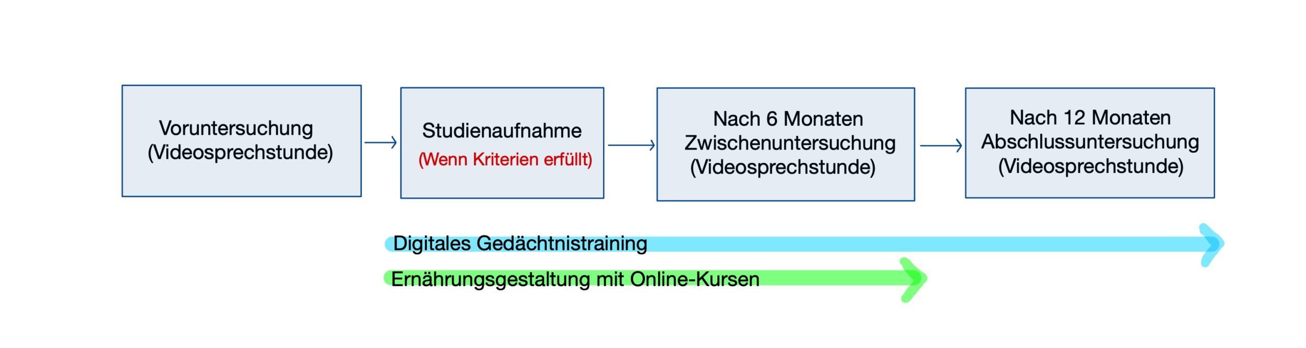 Auf diesem Bild ist der bald der Gesamten Studie grob skizziert. Beginnend mit der Voruntersuchung, der Studienaufnahme, der 6 und 12 Monatigen Untersuchung. Pfeile darunter veranschaulichen die Dauer des digitalen Gedächtnistrainings und der Ernährungsgestaltung.